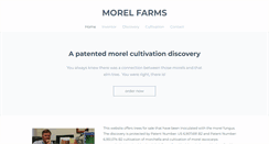 Desktop Screenshot of morelfarms.com